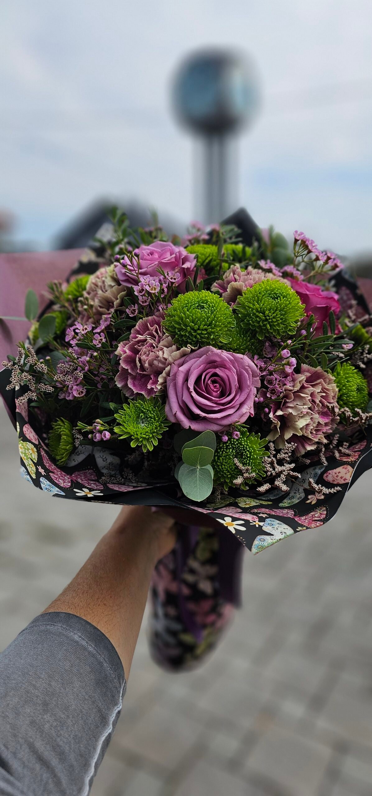 Home 20240919 120830