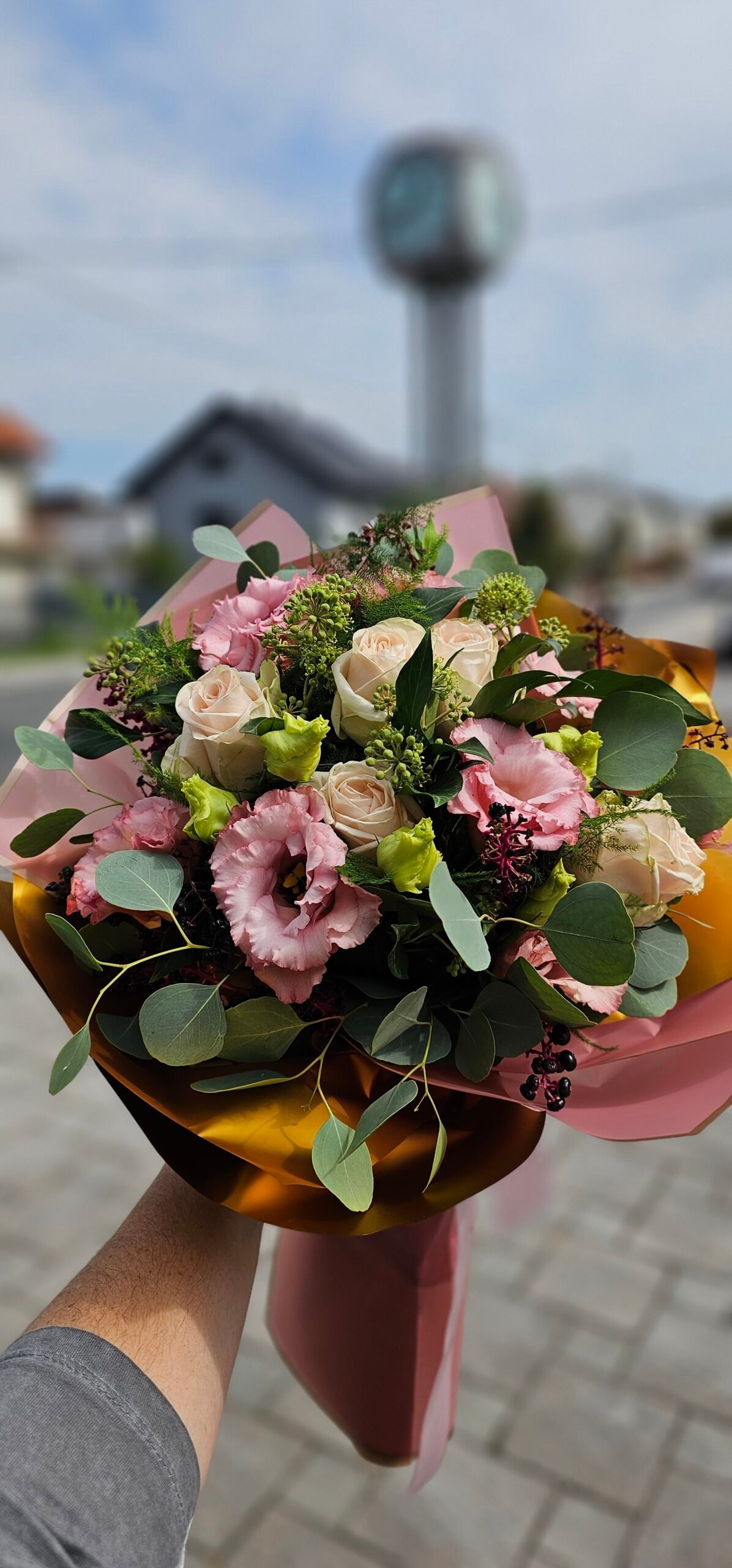 Home 20240919 124257